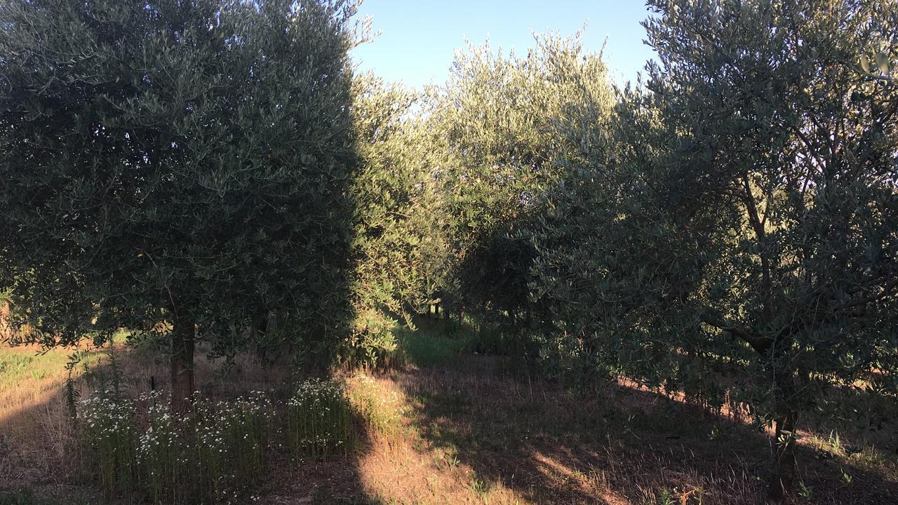 Casa Vacanze Soleluna Montichiari Kültér fotó